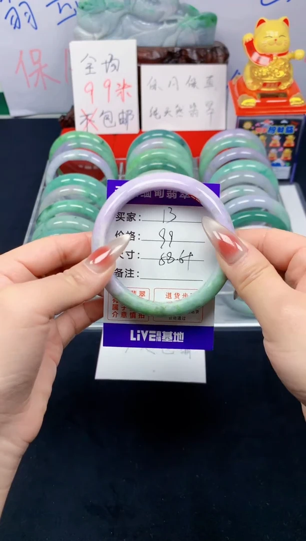 未镶嵌手镯翡翠13