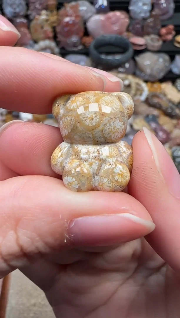 颈饰未镶嵌硅化珊瑚（珊瑚玉）047