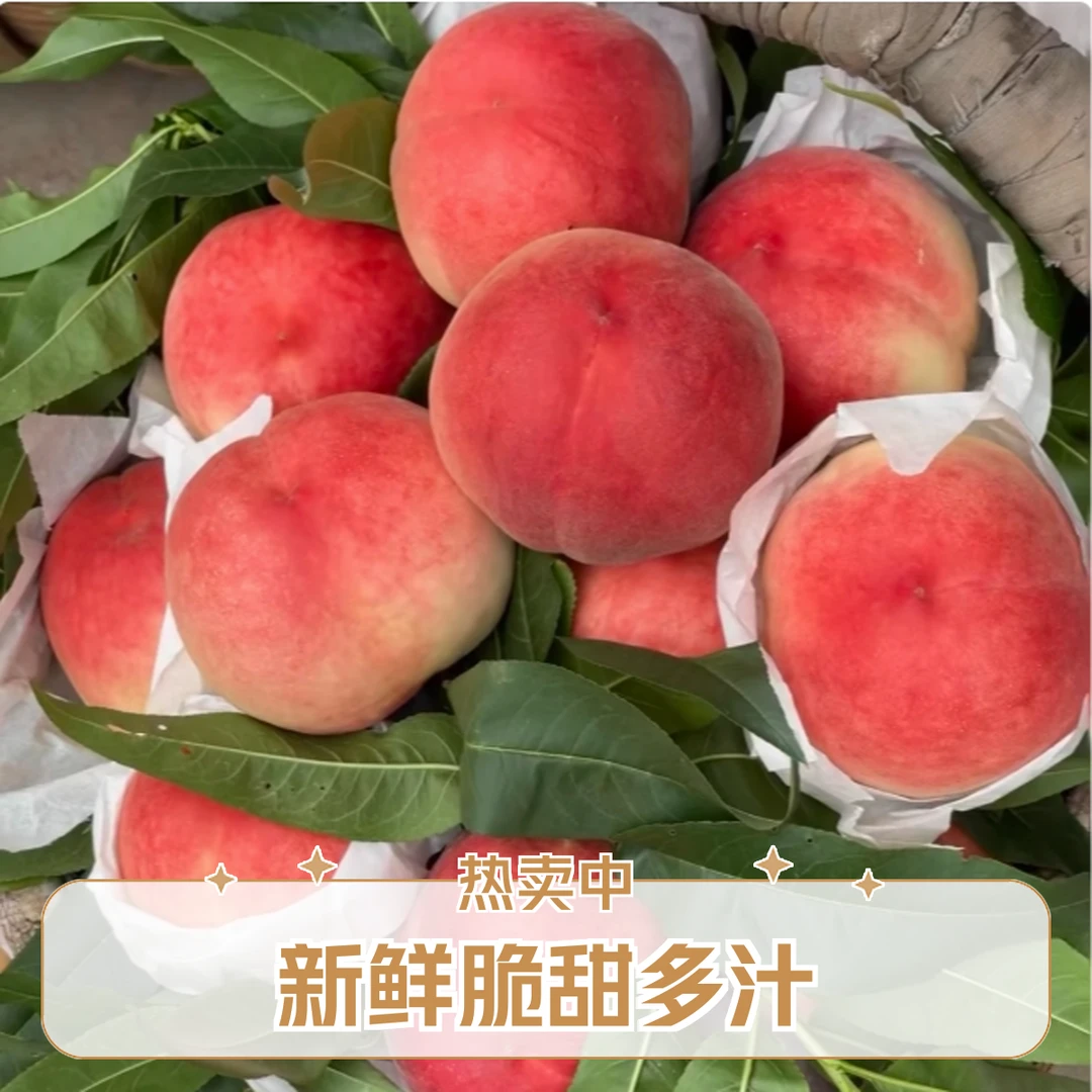 【北京头茬毛桃】露天头茬新鲜突围毛桃脆甜多汁新鲜采摘软硬两吃当季新鲜水果桃子北京市