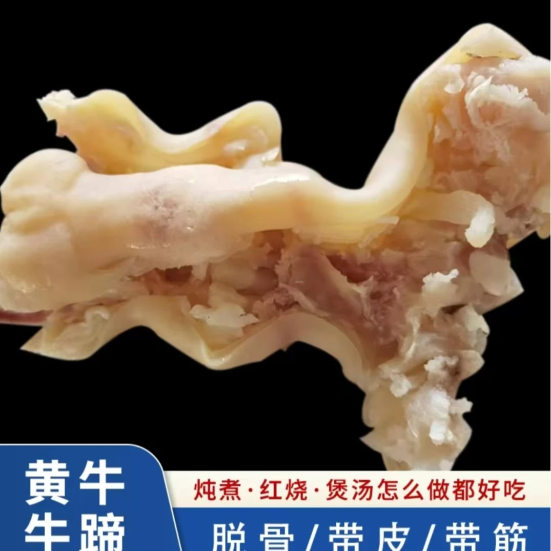 现煮现发新鲜熟牛蹄 4-7斤 本地小黄牛连云港发货