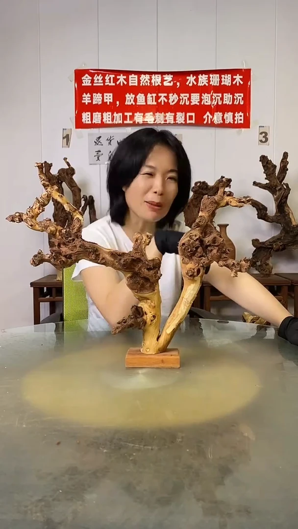 香榧木黑*金丝红木   羊蹄甲