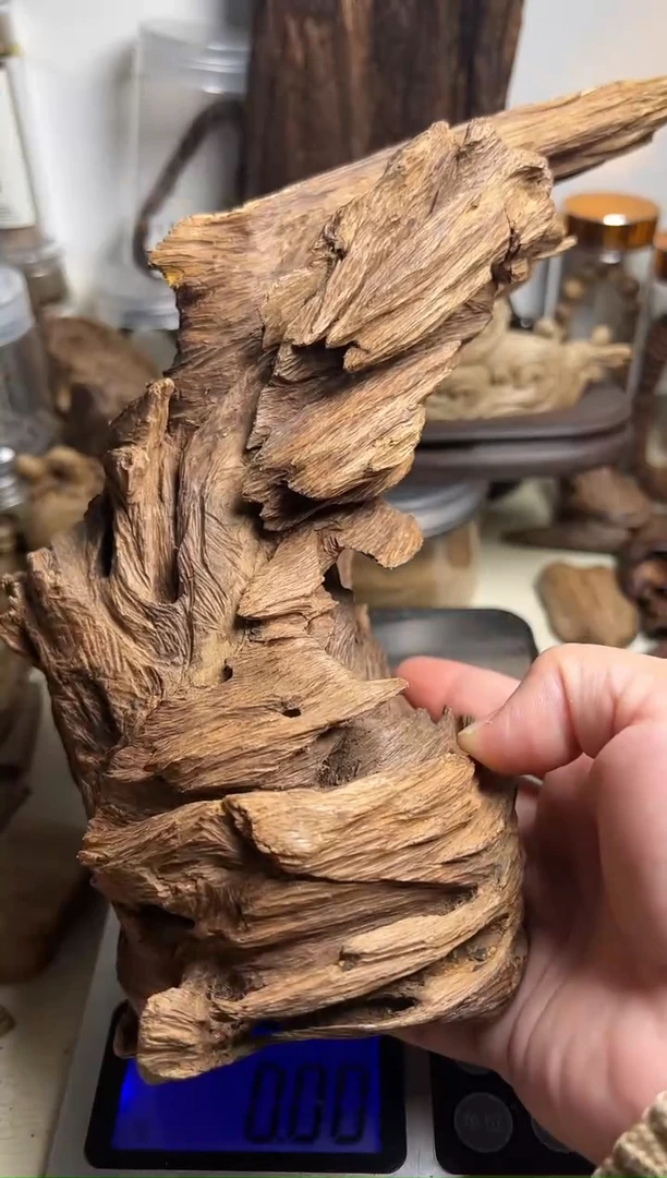 沉香沉香碎屑加里曼丹沉香251克