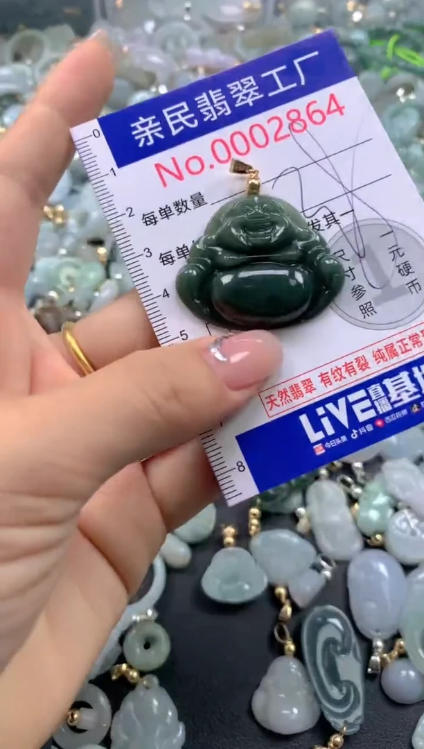 颈饰未镶嵌翡翠2864