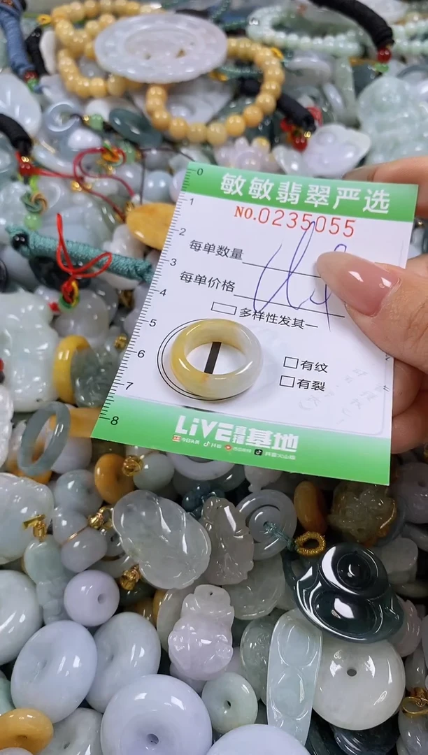 翡翠未镶嵌颈饰闪购0235055