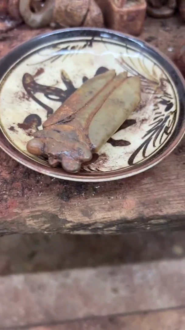 瓷器瓷片瓷器瓷片