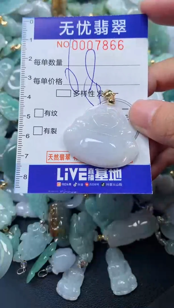 颈饰未镶嵌翡翠7866
