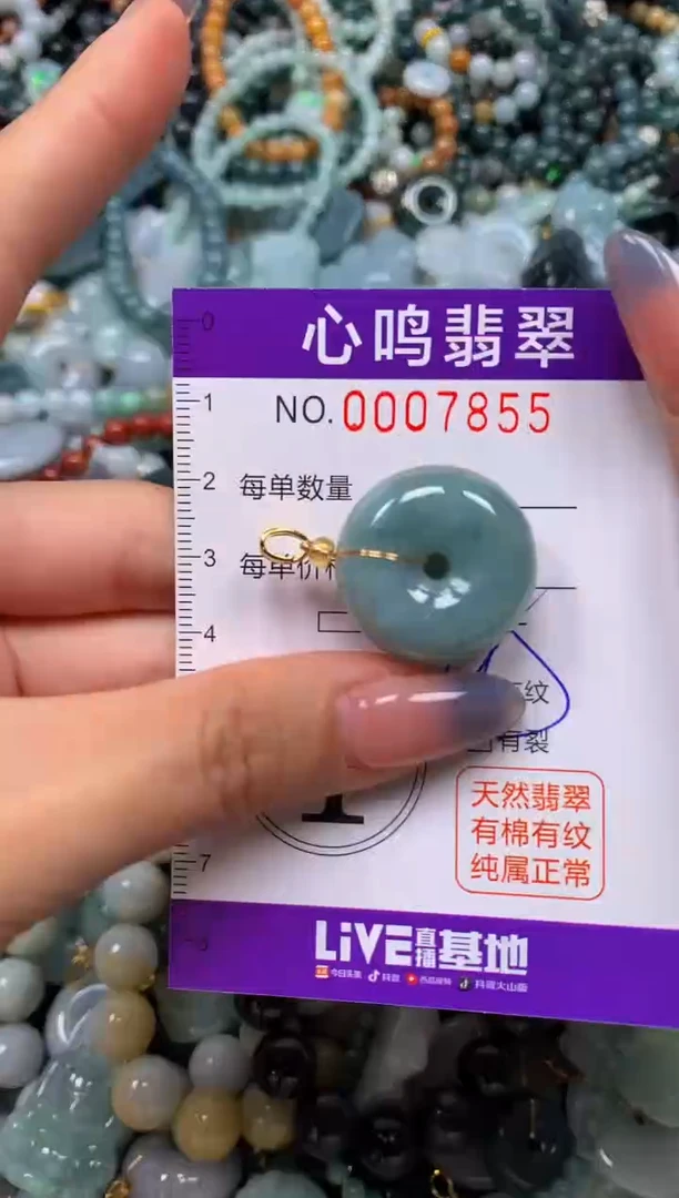 颈饰未镶嵌翡翠闪购007855