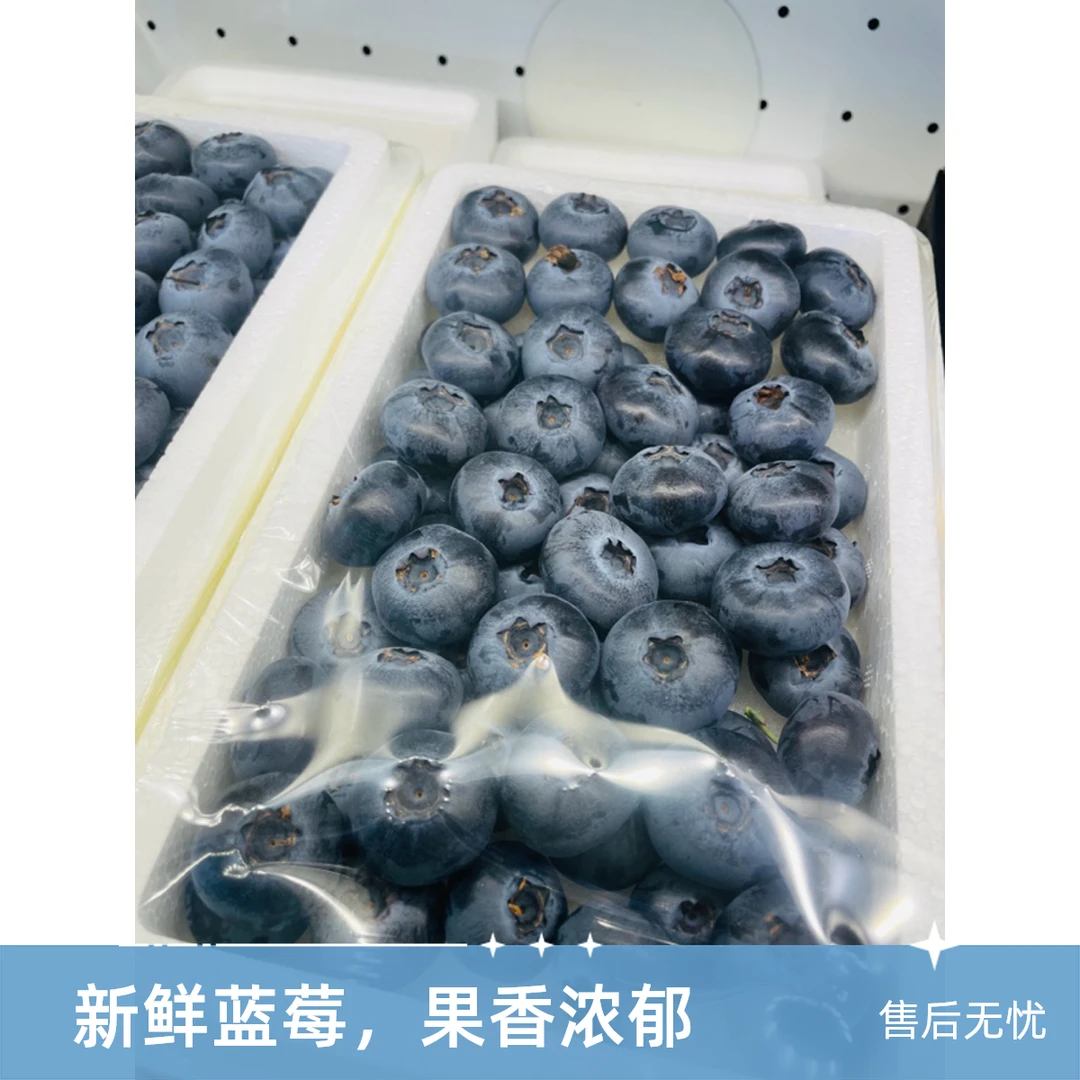 庄河 蓝莓 420克。 17mm到24mm山东
