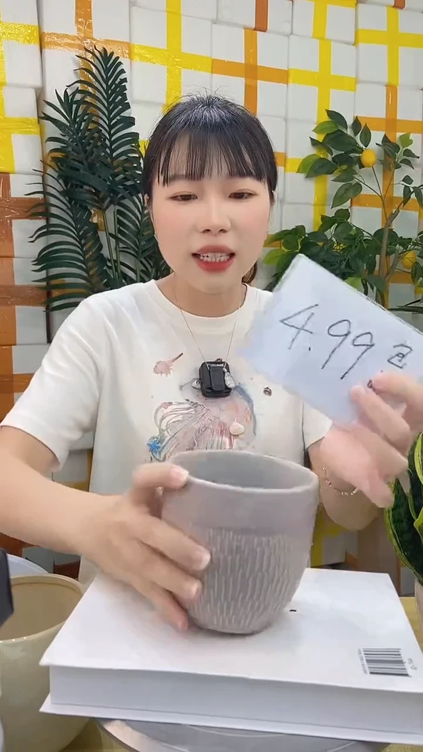 陶瓷花盆粉口径12/高度10