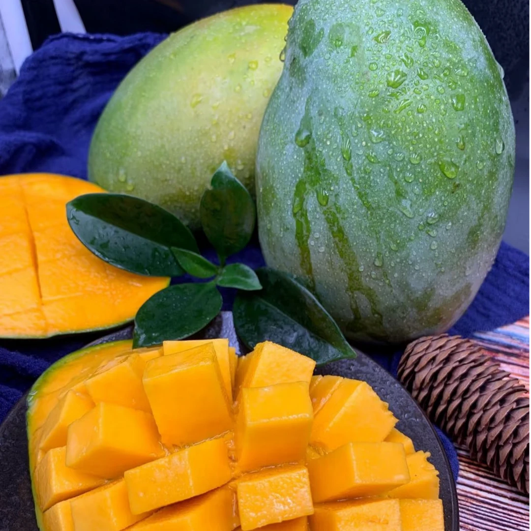 【主播专属】正宗四川大凯特芒水果新鲜爆甜多汁单果500g+（放软吃）