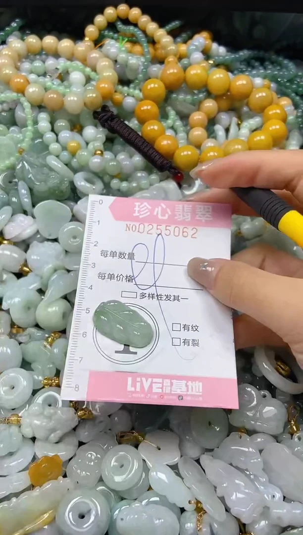 翡翠未镶嵌颈饰闪购0255062