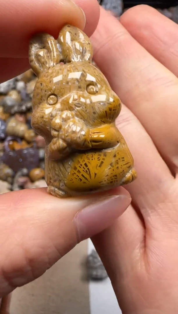 【闪购商品】硅化珊瑚（珊瑚玉）颈饰未镶嵌609