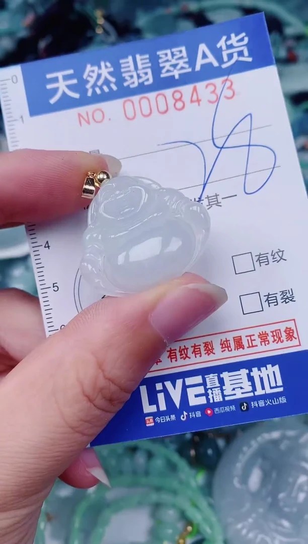 颈饰未镶嵌翡翠00008433