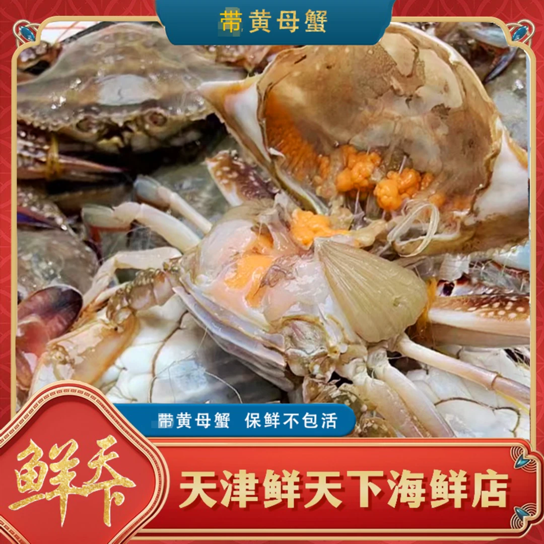 【保鲜不保活】本地带黄母蟹  单只3两左右 每斤2-5只  掉爪