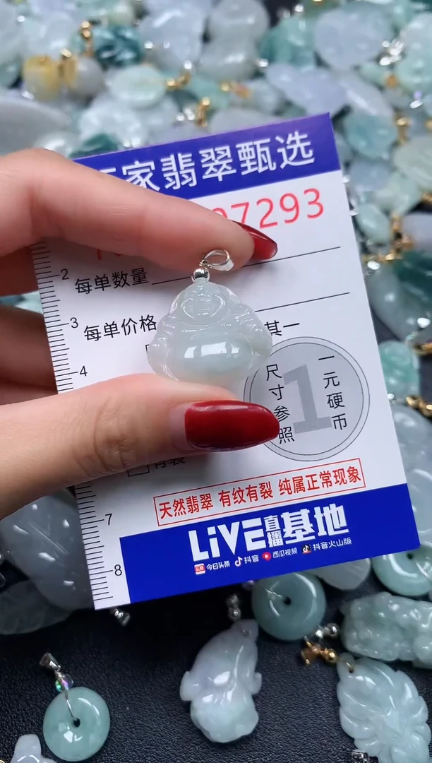 颈饰未镶嵌翡翠7293