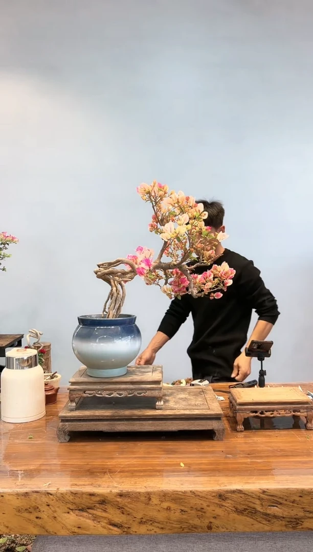 【闪购商品】AA906