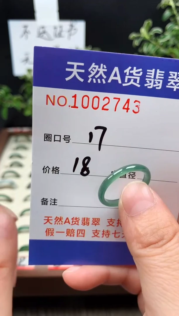 未镶嵌戒指翡翠借*?17#