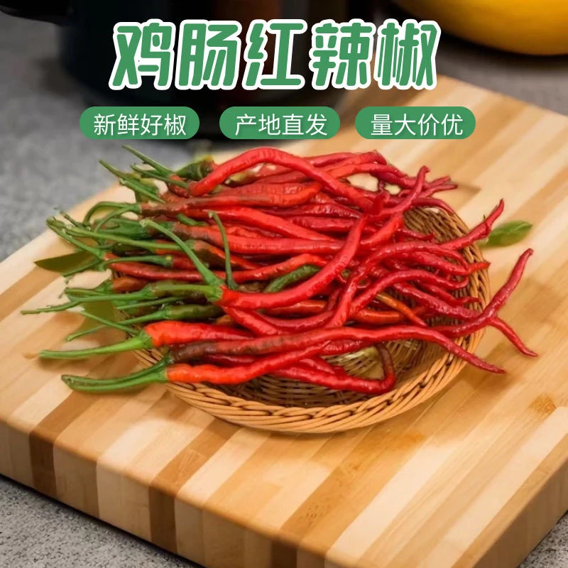 （顺丰包邮）湖南当季本地鸡肠子红辣椒新鲜超细长线椒剁椒土辣椒
