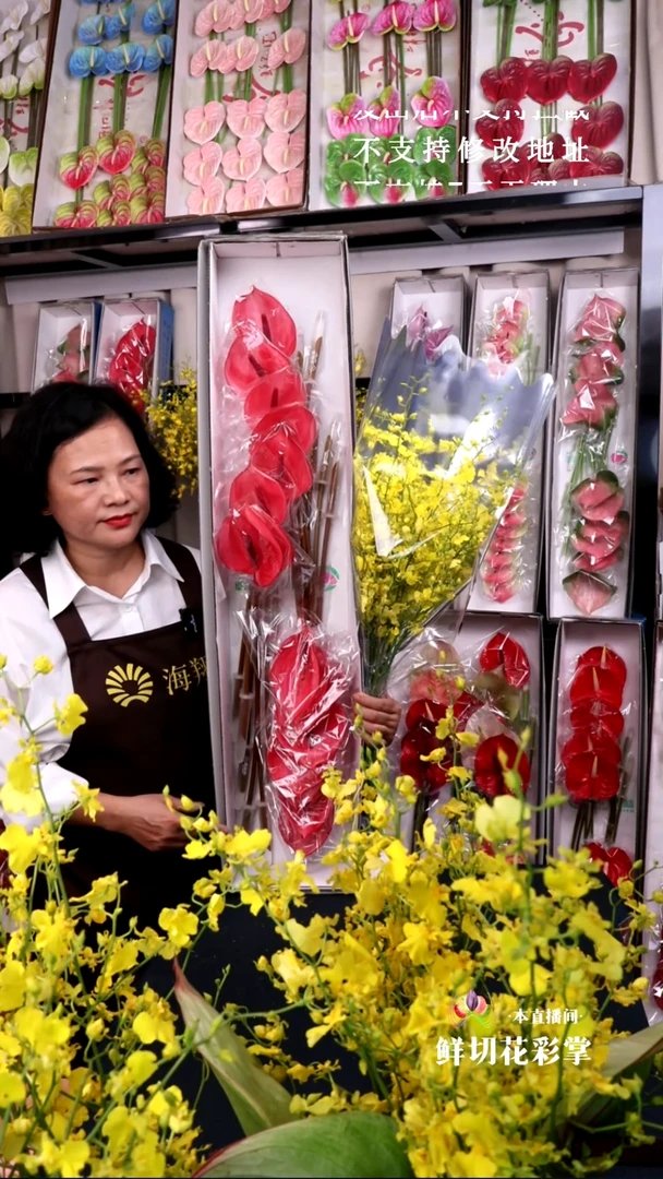 萨维尔12支中掌+B级跳舞兰1束，微瑕无售后