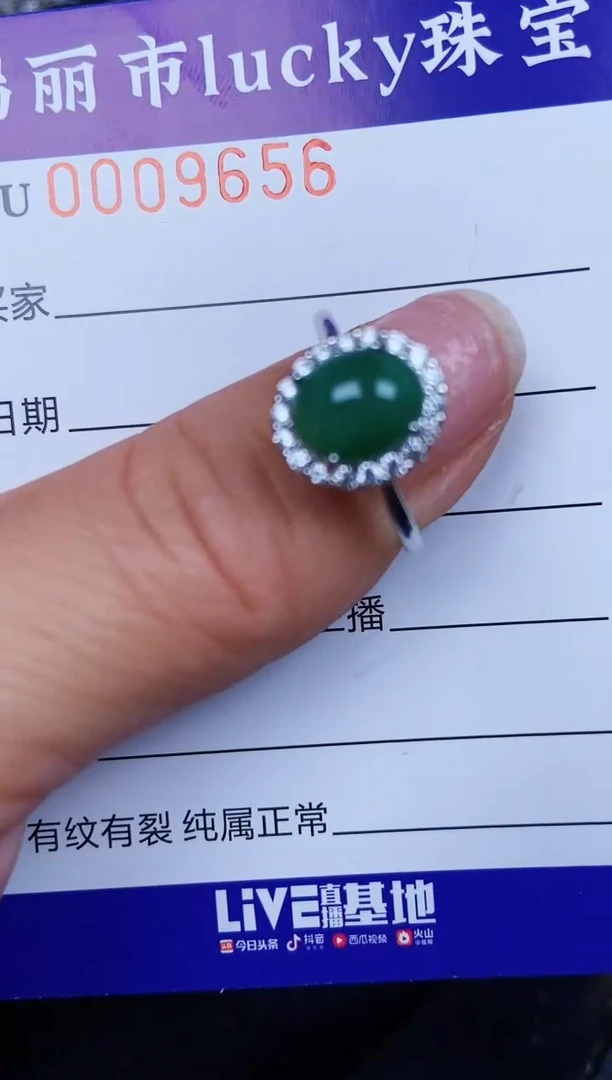 翡翠银S925镶嵌颈饰9656