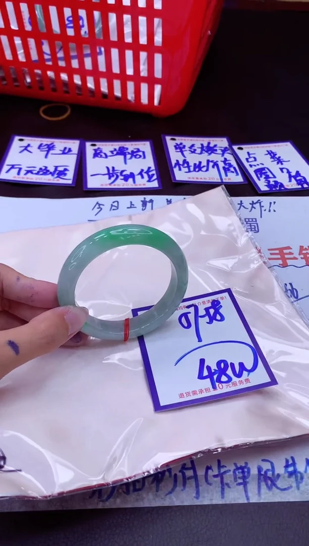 未镶嵌手镯翡翠11111111