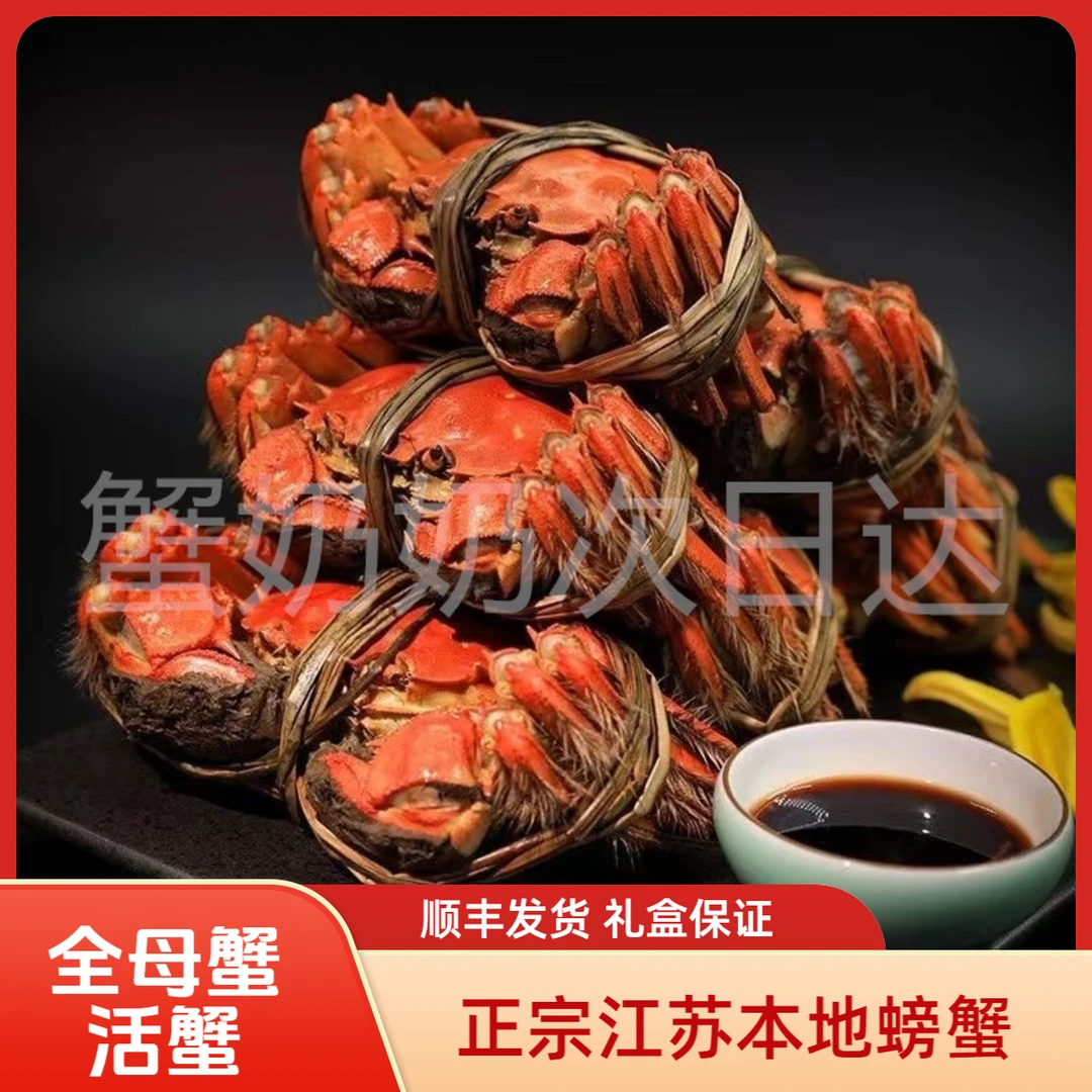 【活蟹全母现货】鲜活河蟹3 .4-3.7两6只装江苏螃蟹顺丰发货