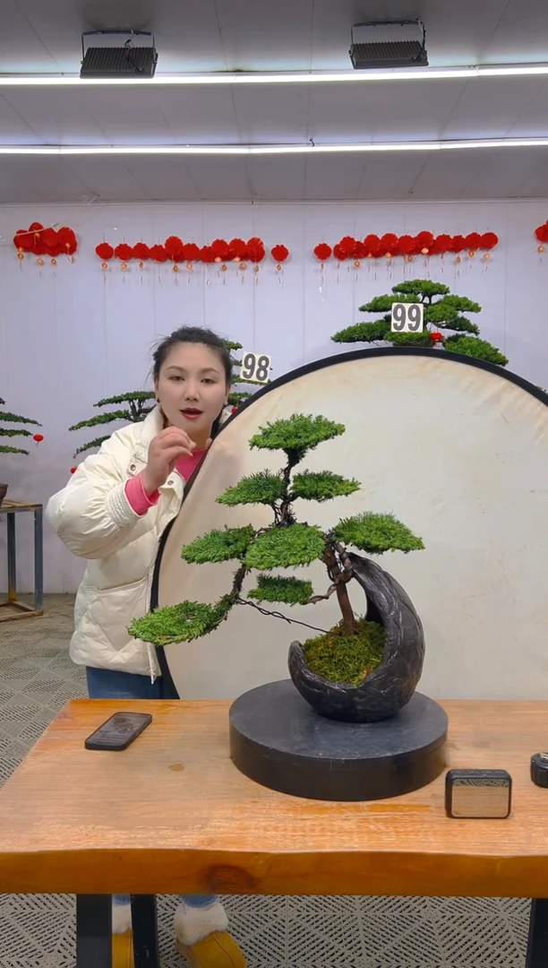 【闪购商品】盆景1