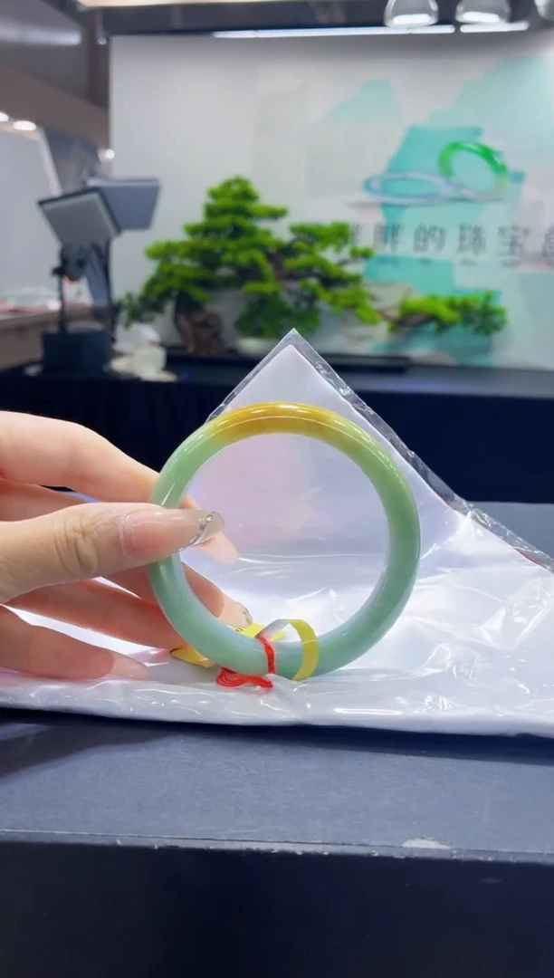 未镶嵌手镯翡翠3