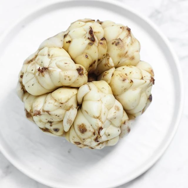 鲜百合 新鲜食用2.5斤