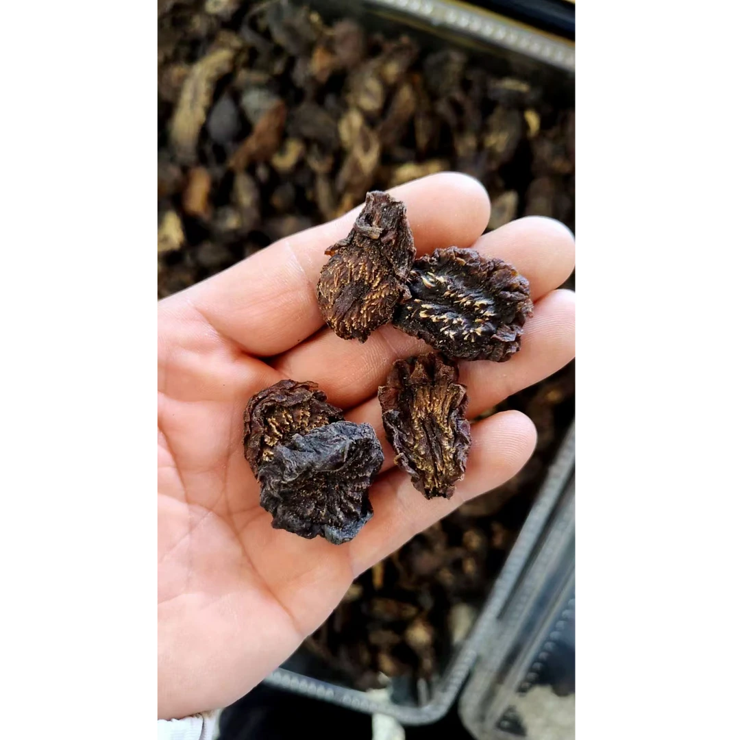 阿拉善巴丹吉林荒漠肉苁蓉切片，一斤