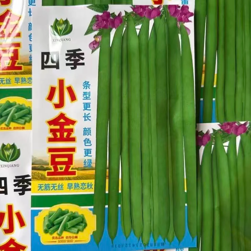 绿条四季豆豆角籽种子四季种植盆栽地栽
