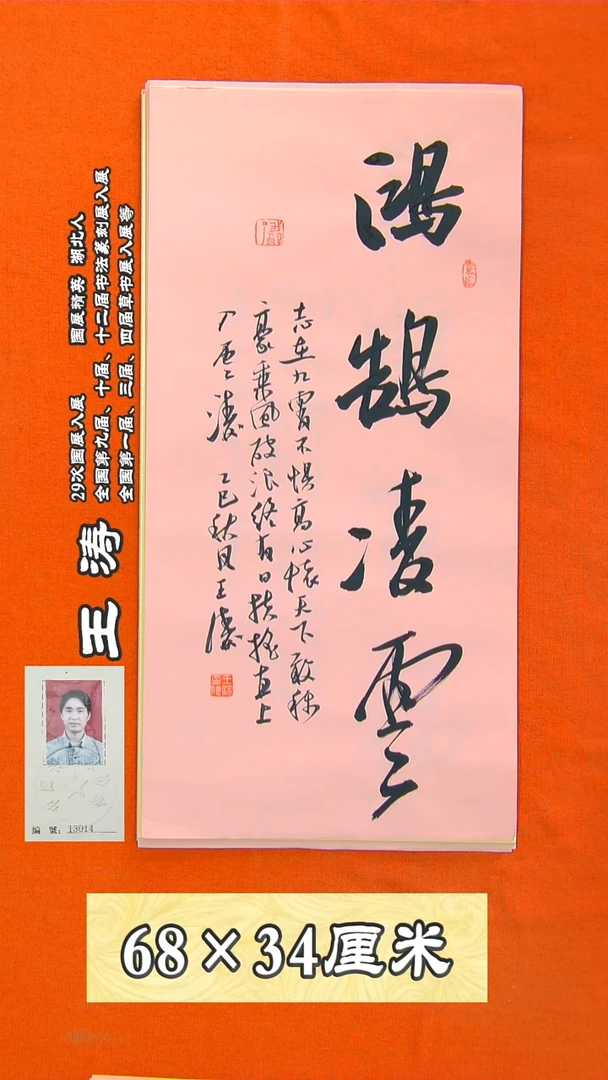 书法61R王涛书法作品