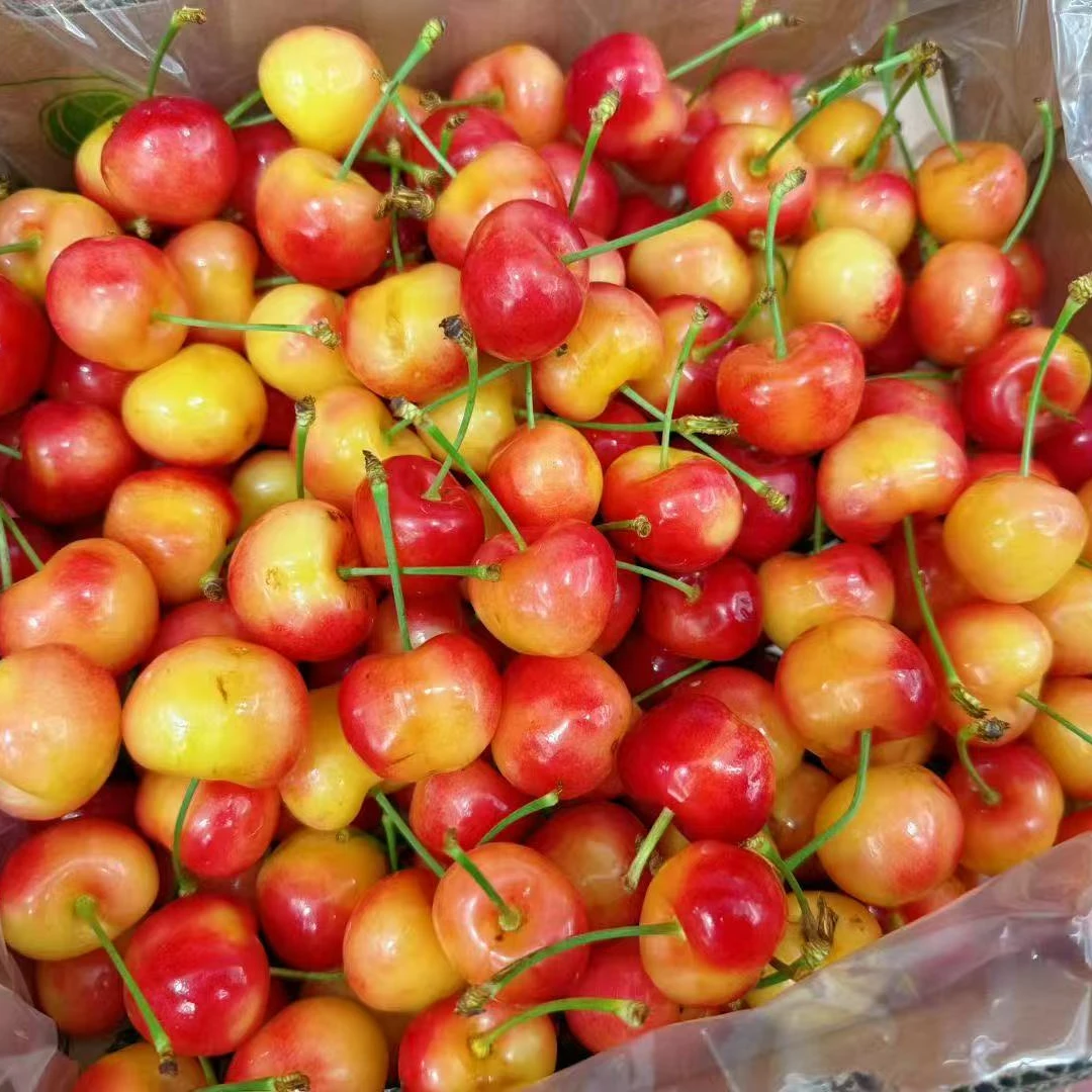 空运雷尼尔-miss o黄车厘子-3J（1kg)雷尼尔智利