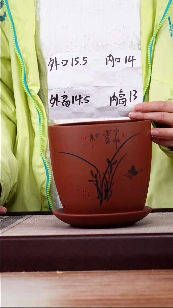 紫砂花盆清水泥君子兰2号一只带托