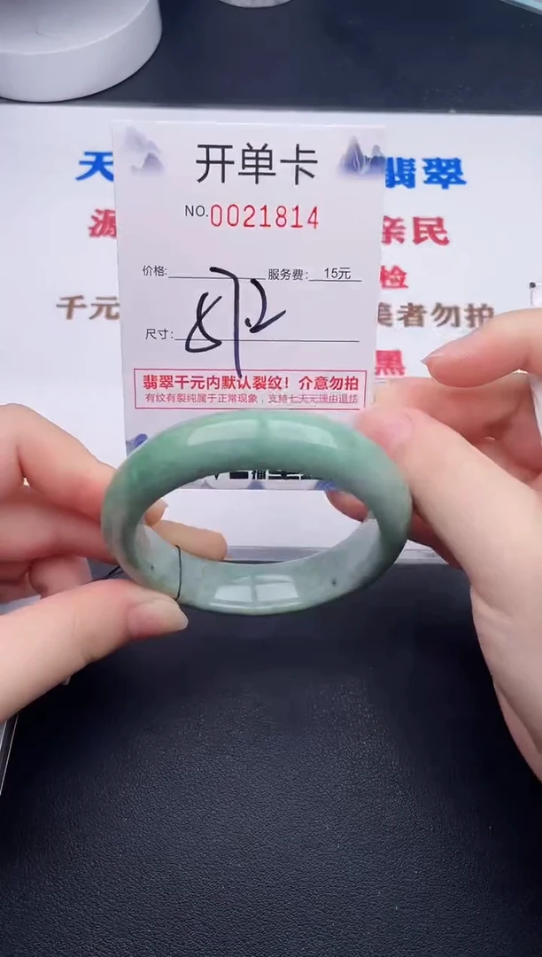 未镶嵌手镯翡翠14