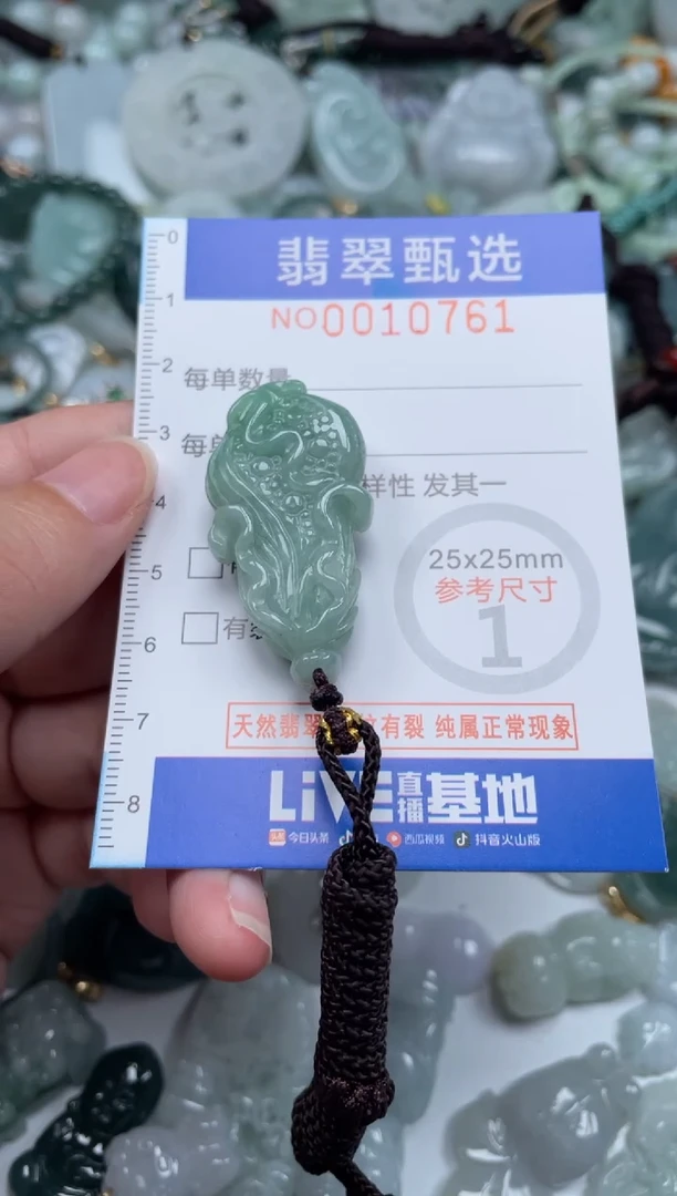 颈饰未镶嵌翡翠10761