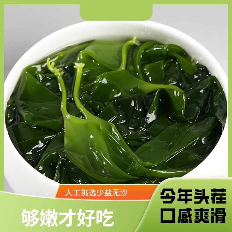 【发5斤】新鲜盐渍海带苗火锅凉拌食材