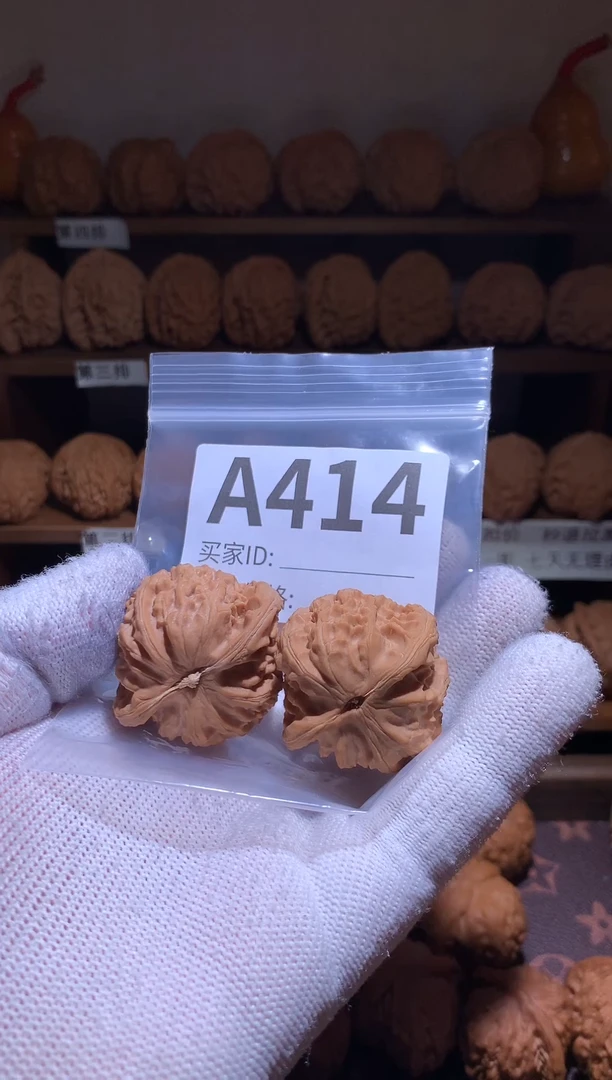 文玩核桃把件哈***瑞白狮子33克