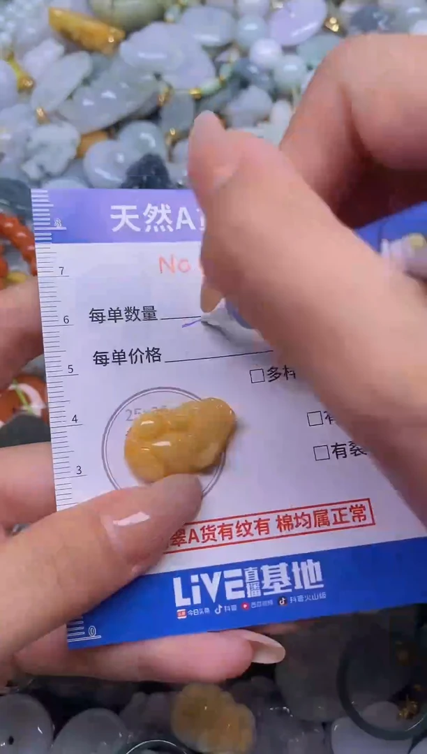 翡翠未镶嵌颈饰翡翠1