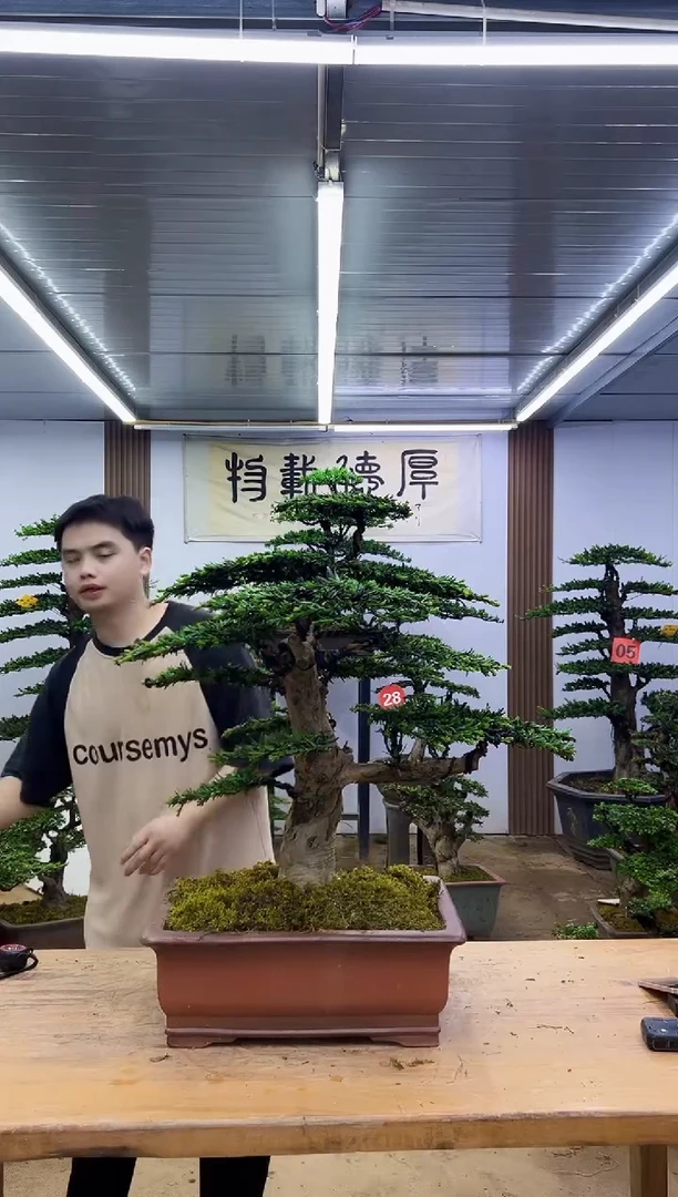 无花朵?***?0000000000000