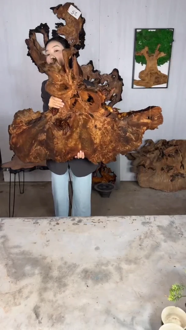 香杉木木头款杉木瘤挂件【原料】013