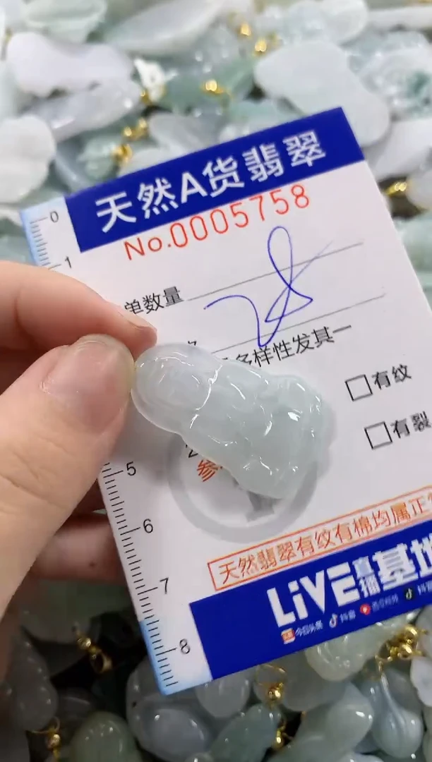 颈饰未镶嵌翡翠天然A货翡翠