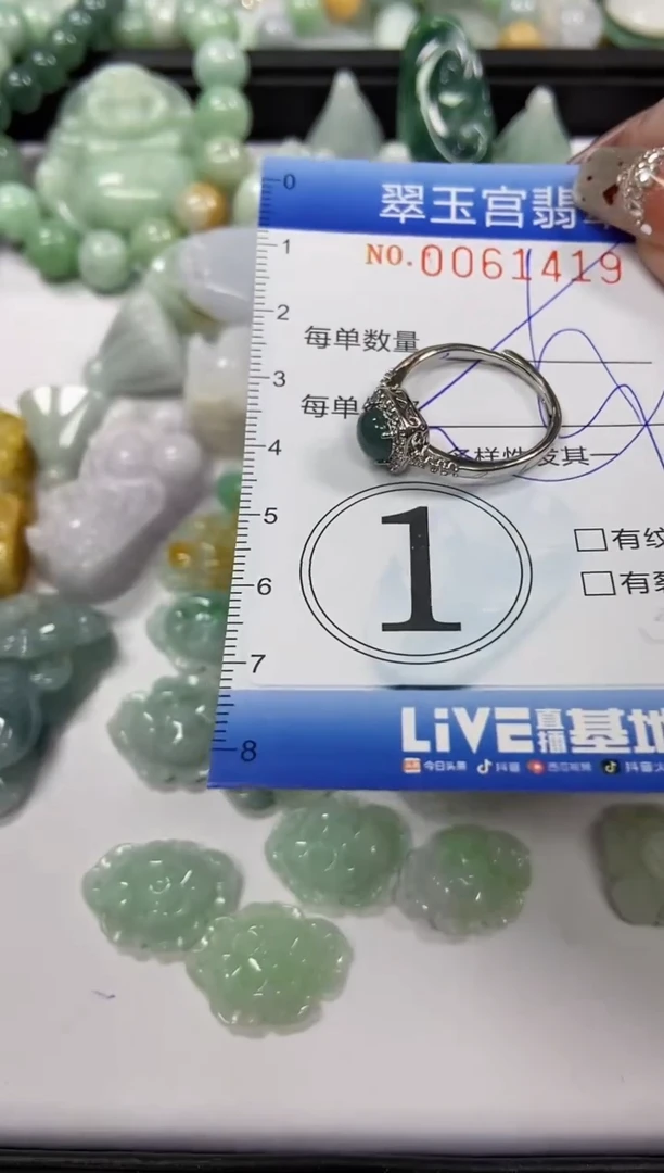 【闪购商品】翡翠颈饰未镶嵌闪购商品0061419多样性发其一