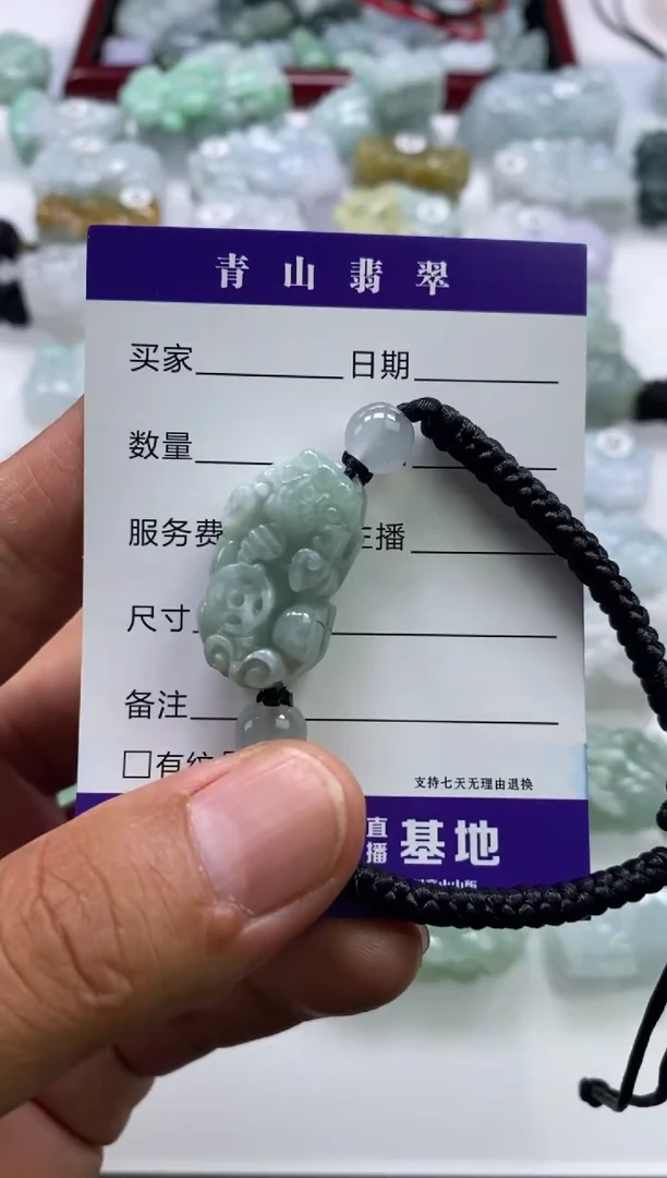 翡翠未镶嵌颈饰多人如意貔貅1