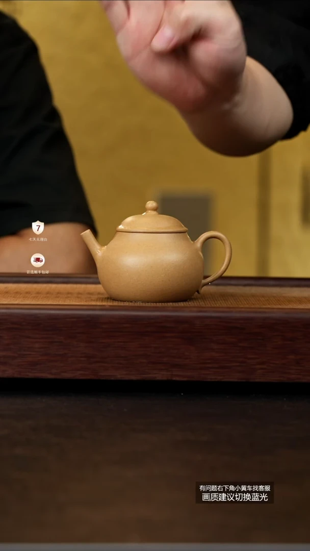 茶壶紫砂蒋工堂原矿老宕口黄金段涤虑
