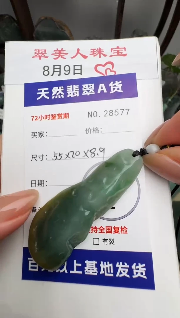 翡翠未镶嵌颈饰原石28577