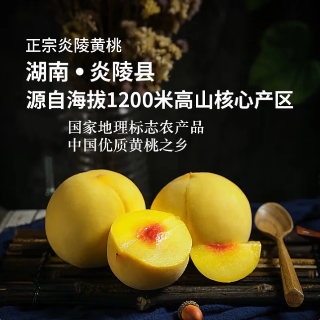 莫德里正宗湖南炎陵黄桃5斤12颗礼盒装 单果200g-250g 京东包邮