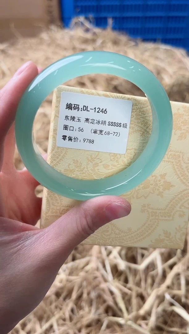 未镶嵌手镯石英质玉DL-1246