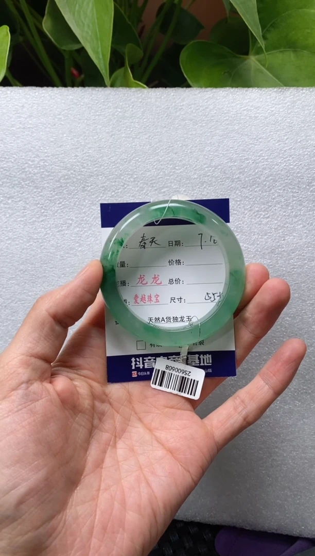 石英质玉手镯未镶嵌遇**天龙龙55+ 遇见春天