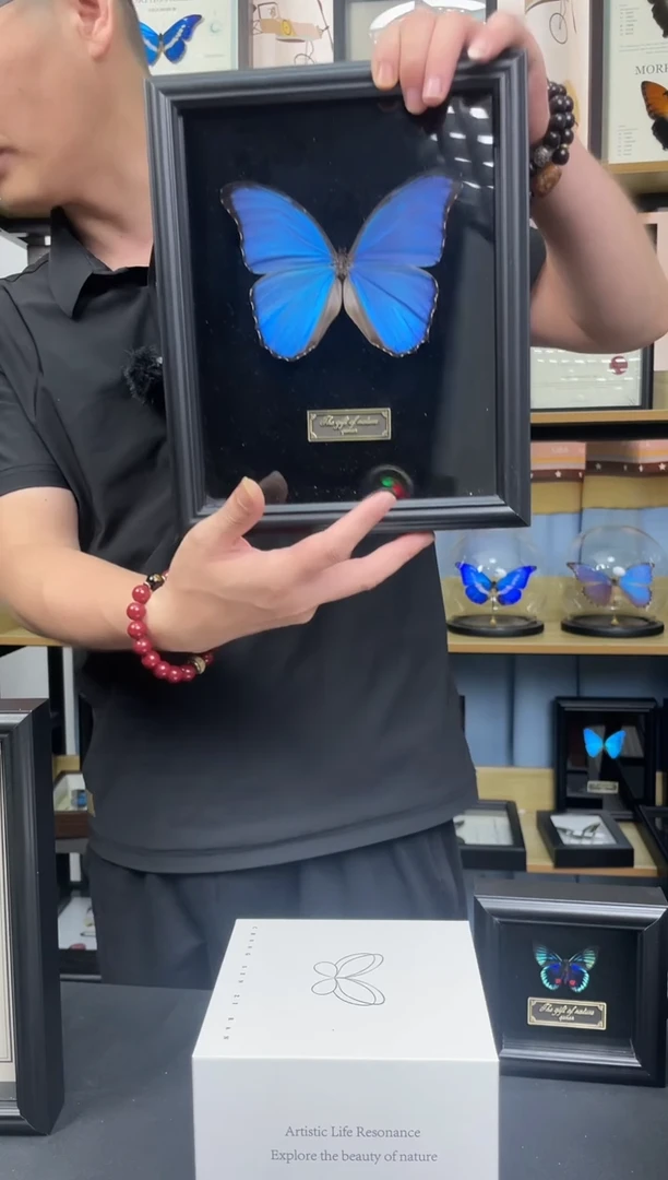 大蓝闪蝶10寸相框